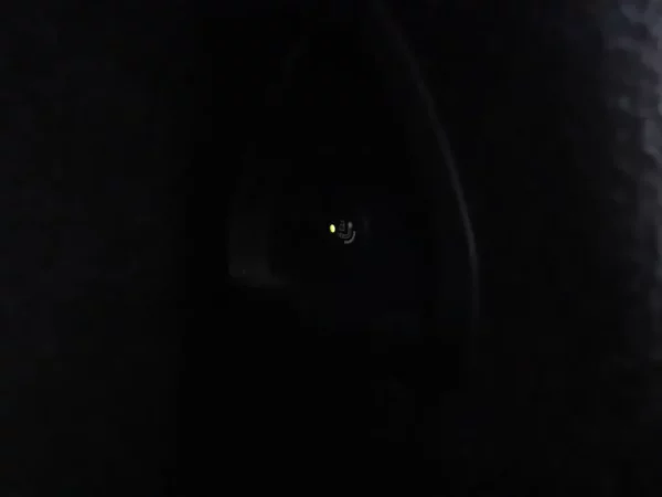 Photo 30 of 43 of WBAJB91010G463402 BMW 5 Serie M550i xDrive High Executive 4-drs Sedan