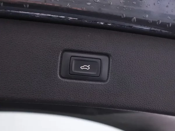 Photo 23 of 34 of WAUZZZ4M3LD007324 Audi Q7 55 TFSI quattro Pro Line S 7p