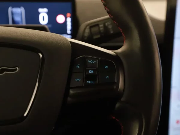 Ford Mustang Mach-E AWD 75 kWh LED