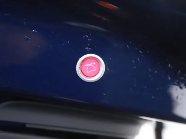 Photo 24 of 32 of 5YJXCCE24JF101059 Tesla Model X 100D (5-drs SUV) Cruise