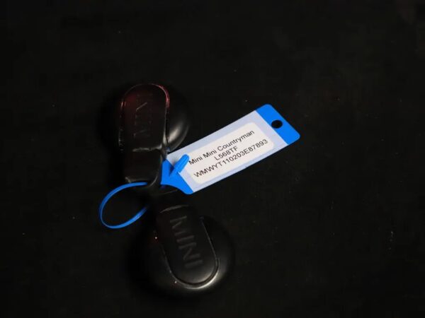 Mini Countryman 2.0 Cooper S ALL4 Au. Chili