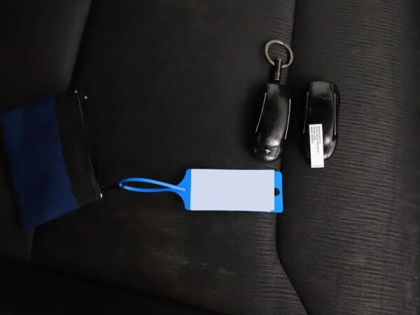 Photo 28 of 32 of 5YJXCCE24JF101059 Tesla Model X 100D (5-drs SUV) Cruise