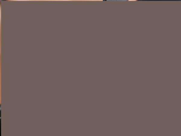 BMW X3 sDrive20i AUT. High Executive Xenon