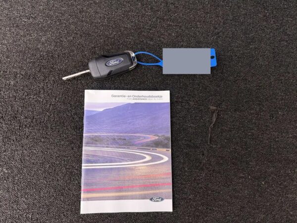 Ford Fiesta 1.0 EcoBoost Hybrid Titanium Cruise