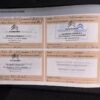 Citroen C4 Cactus 1.2 PureTech Shine (5-drs