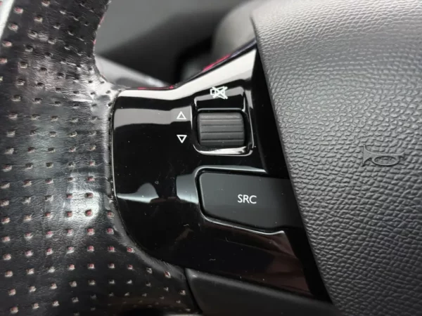 Peugeot 308 SW 1.2 PureTech GT-line Panodak
