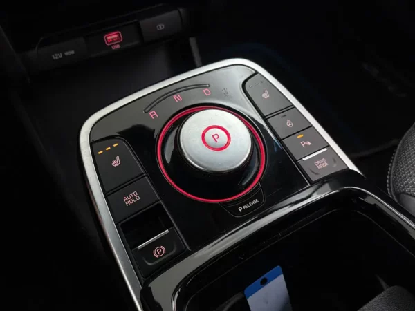 Photo 19 of 29 of KNACC81GFM5093437 Kia e-Niro DynamicPlusLine 64 kWh
