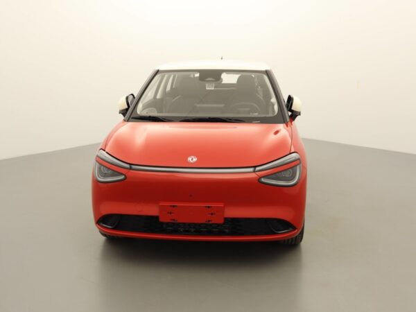 DONGFENG BOX PMSM