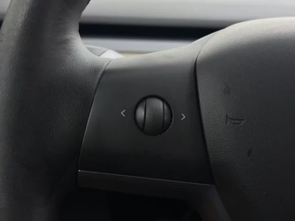 Tesla Model 3 Standard RWD Plus 60 kWh FSD