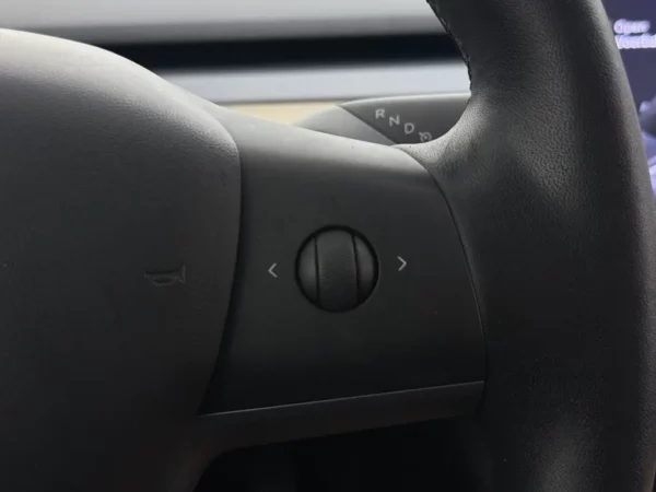 Tesla Model 3 Standard RWD Plus 60 kWh FSD